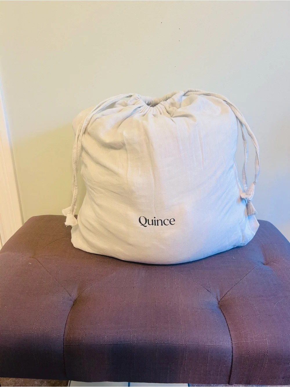NWT Quince Light Green (Mist) Organic Cotton Gauze Duvet Cover and Sham!